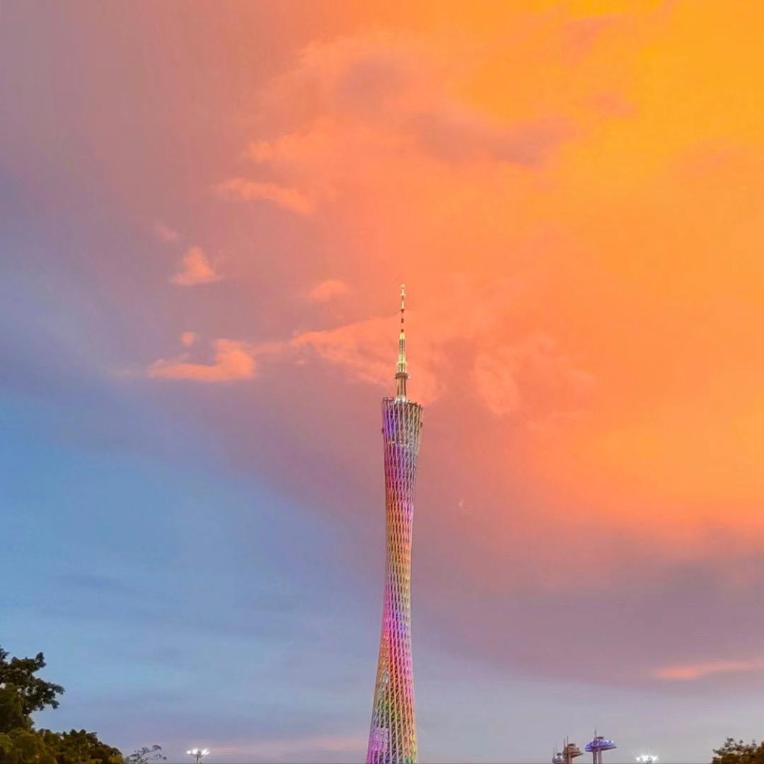 W先生
