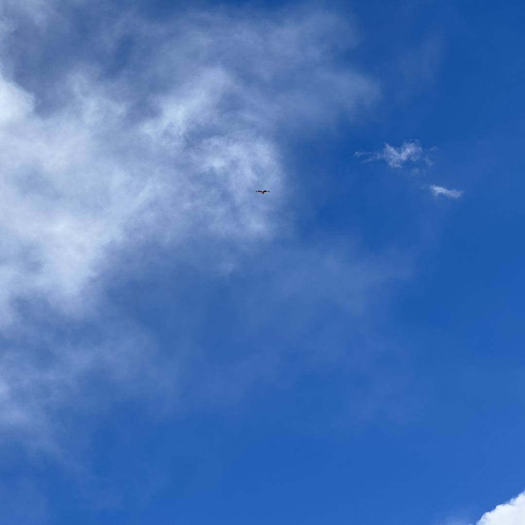 资良医个人护理