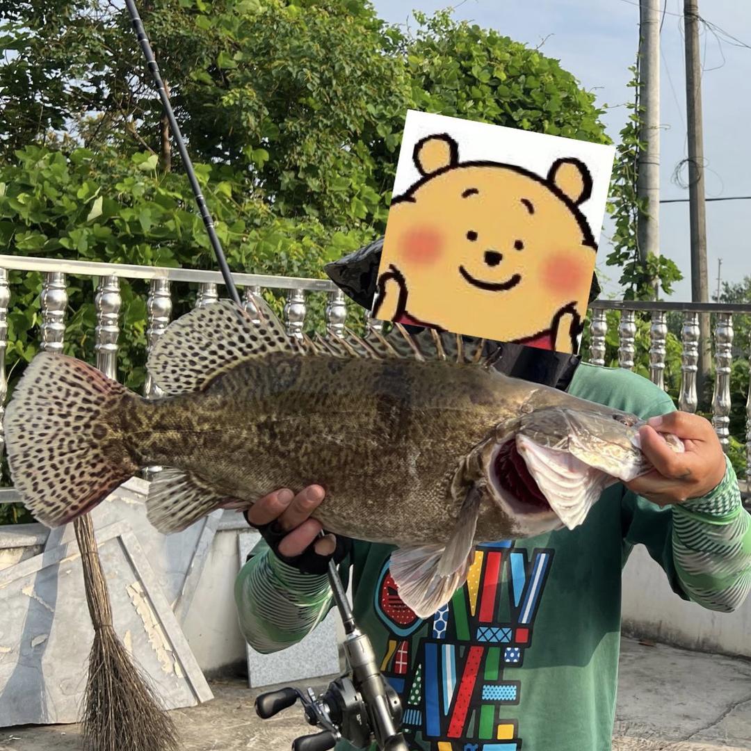 🌈JyueYa_