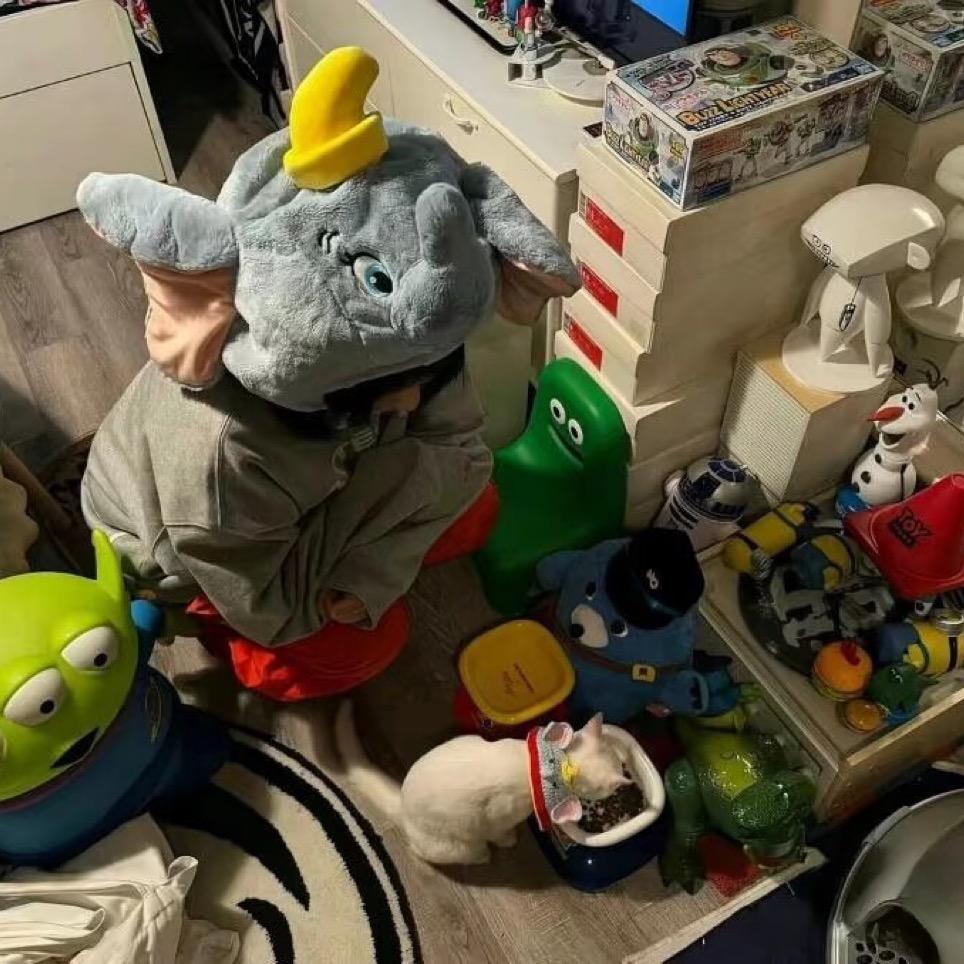 十二月的秘密