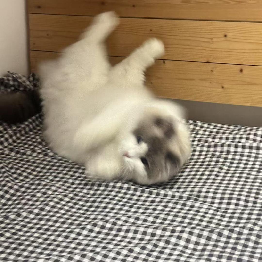 账号停用，留给有缘人