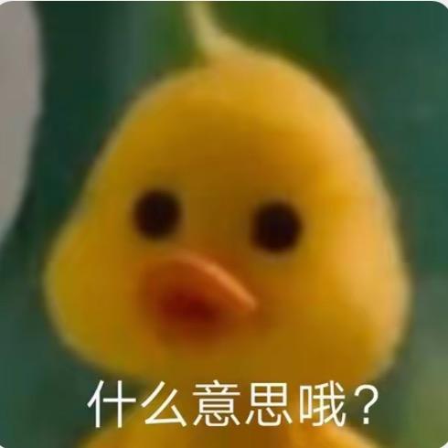 鸭妈妈