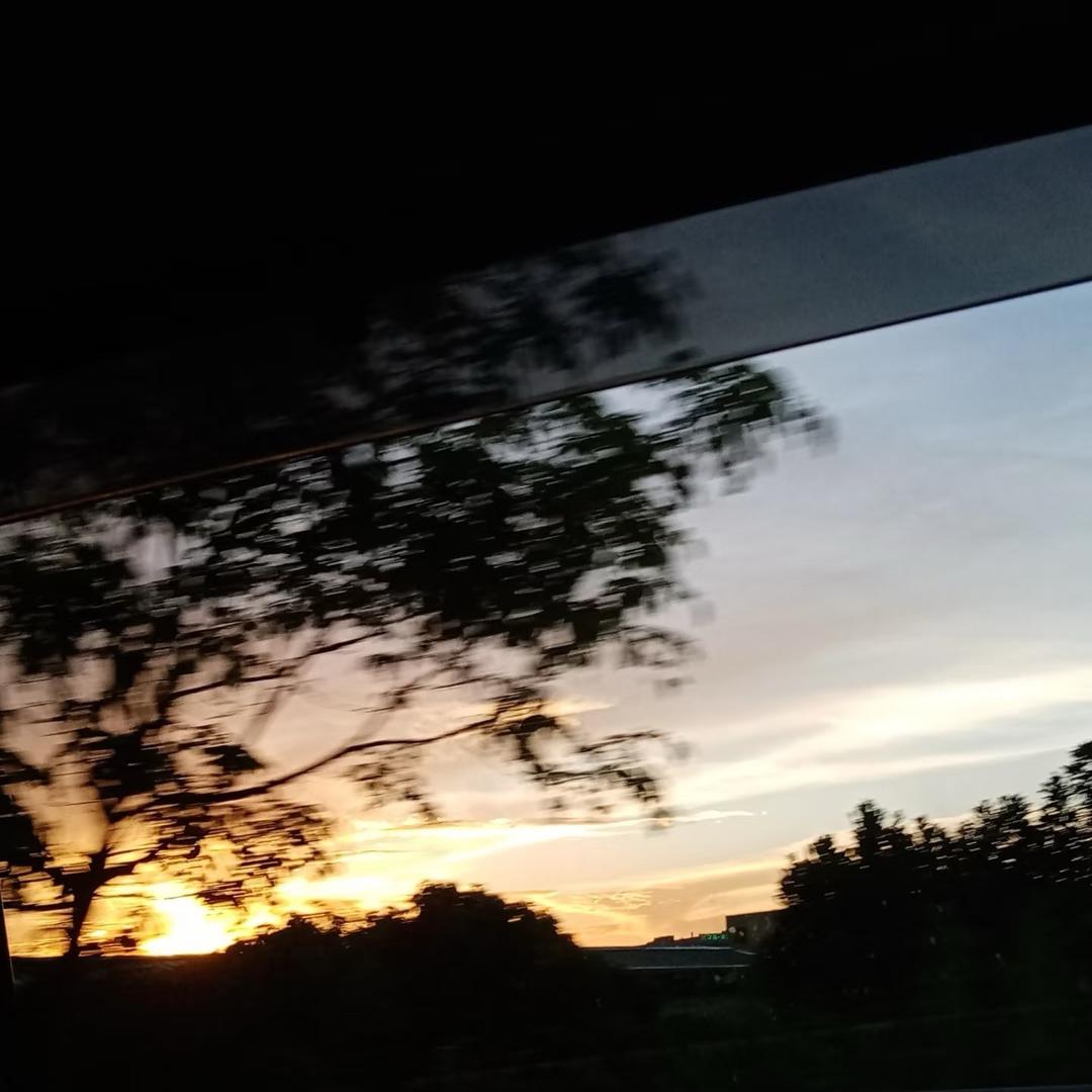 我有一个小可爱