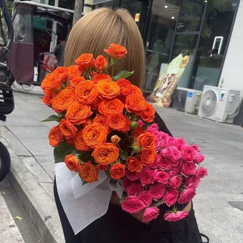 🌈Promise(诺言)🌸 এ