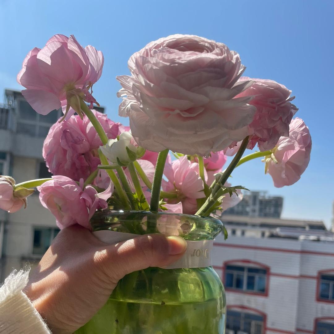 春暖花开456