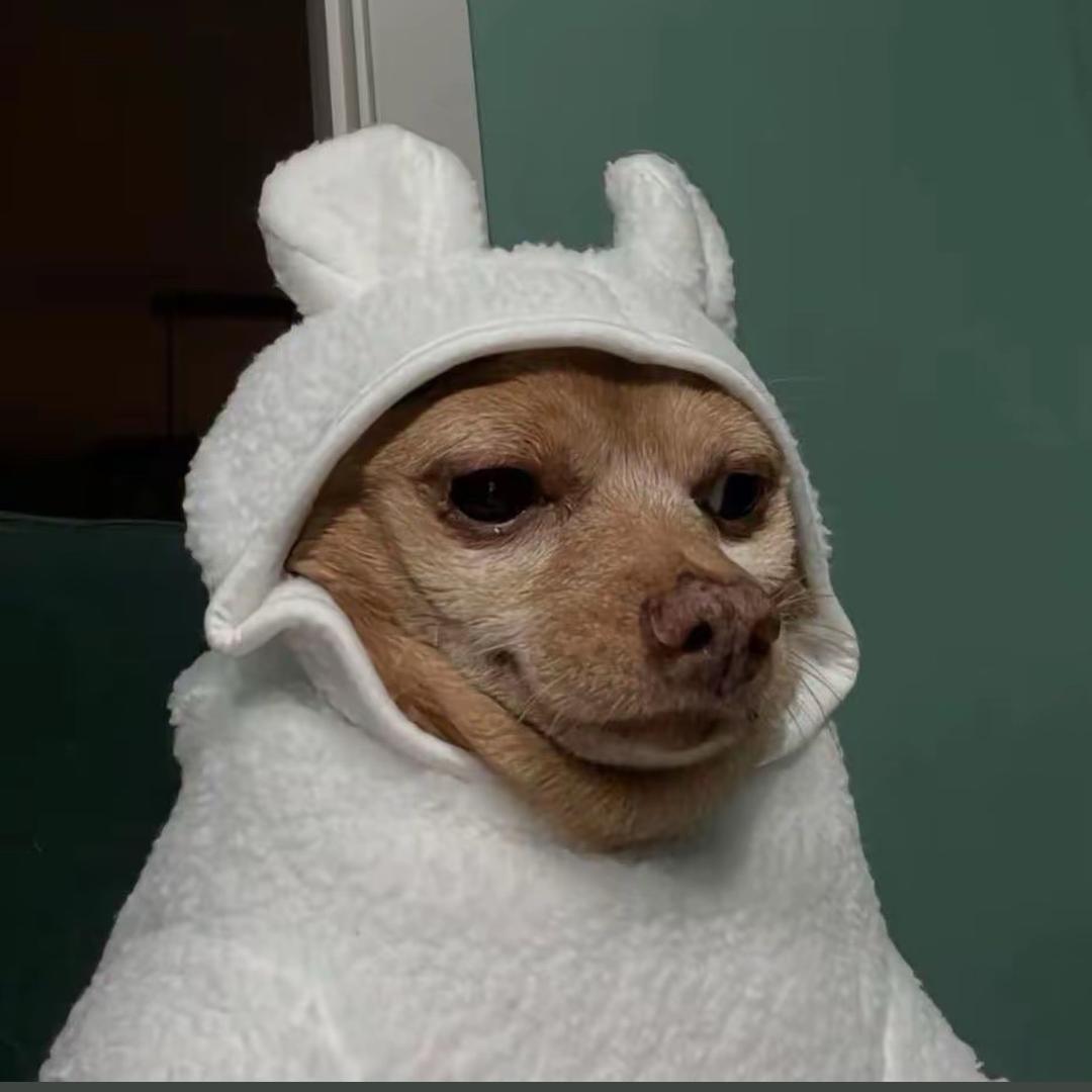 ζޓއއ小龍哥💭