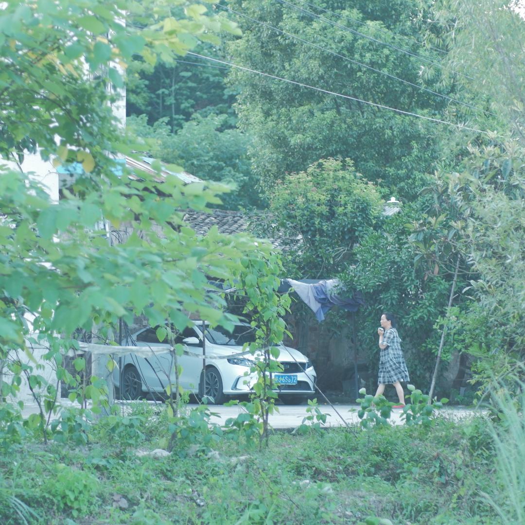 平平淡淡
