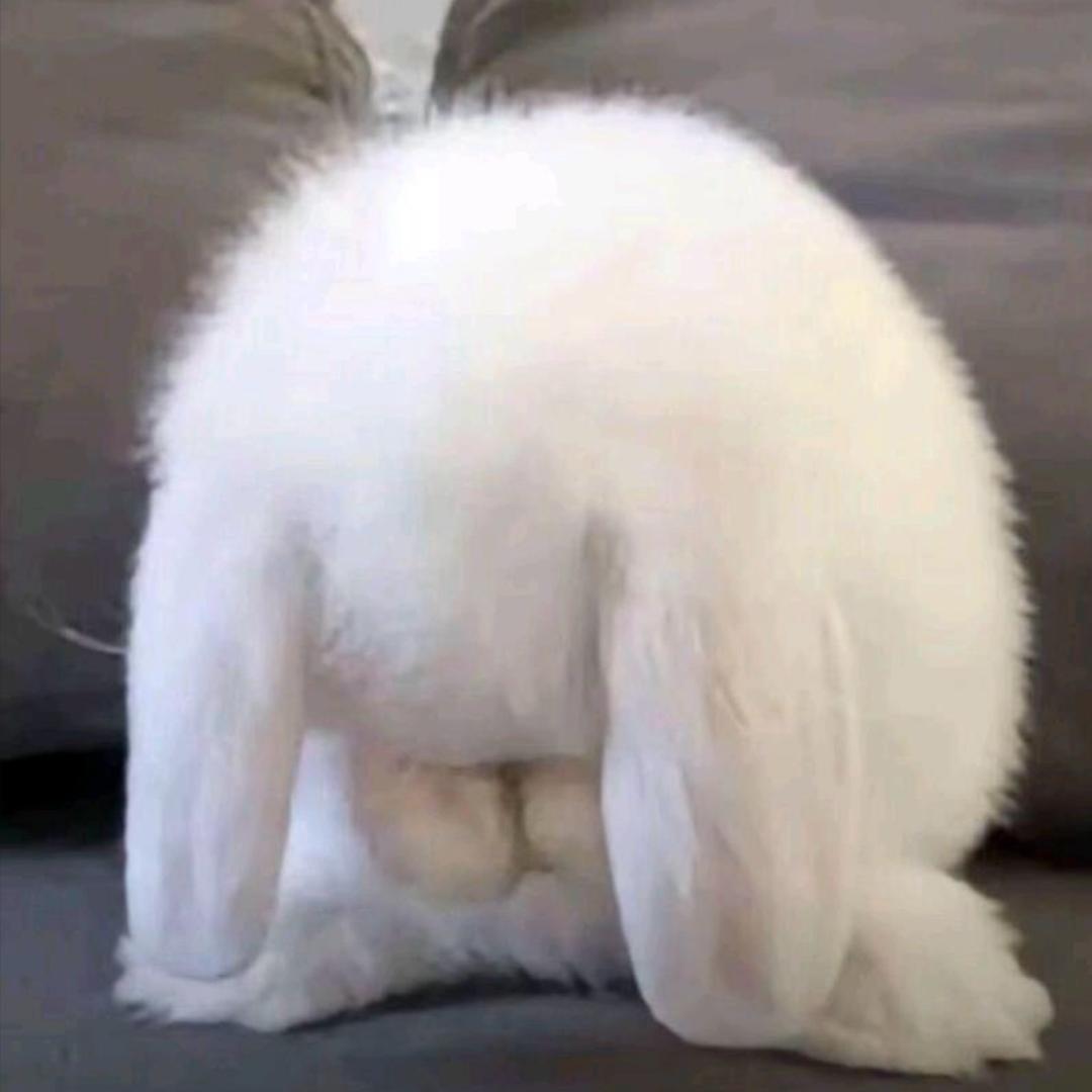 他幸福我就不好过