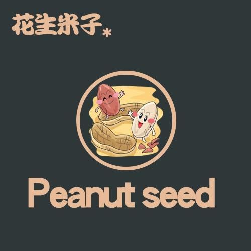 花生米子外贸服饰
