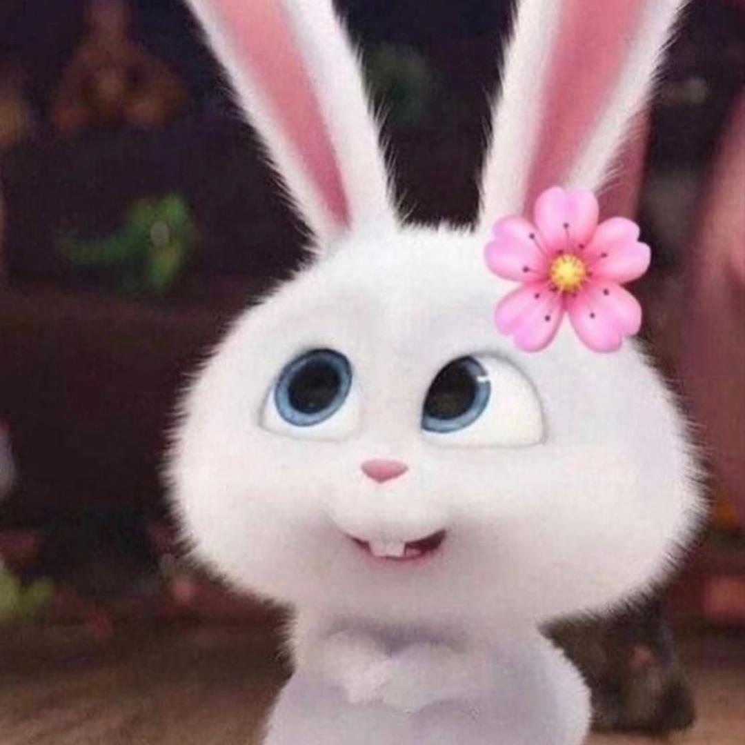 西西霸王龙（迷上豆乳米麻薯版）