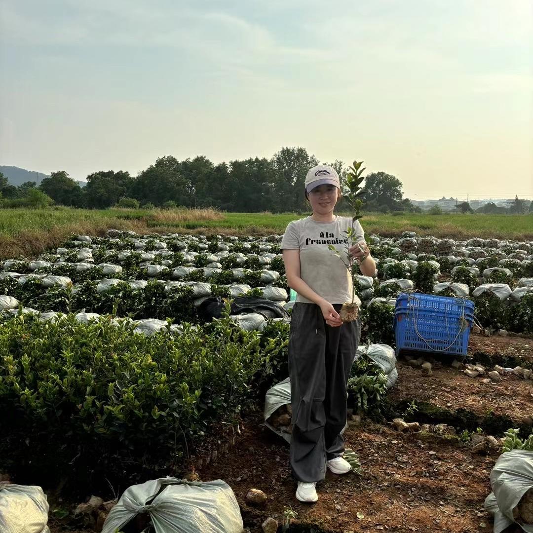丰城市协友农林开发有限公司