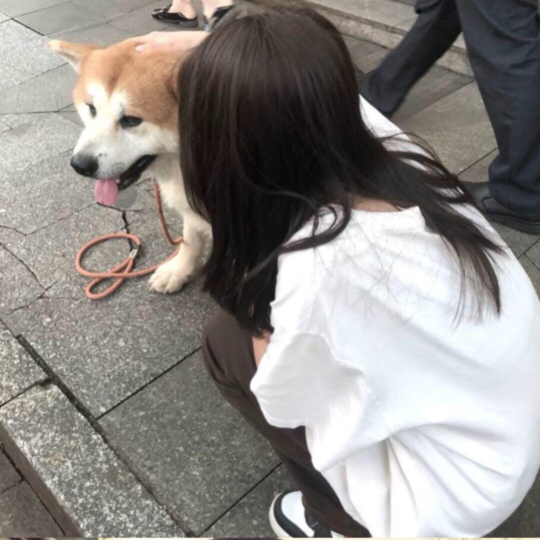 小雨