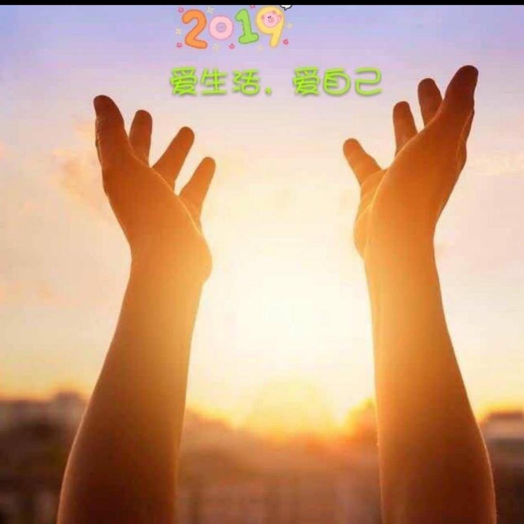夏彤