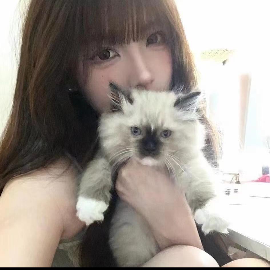绿泡泡🫧