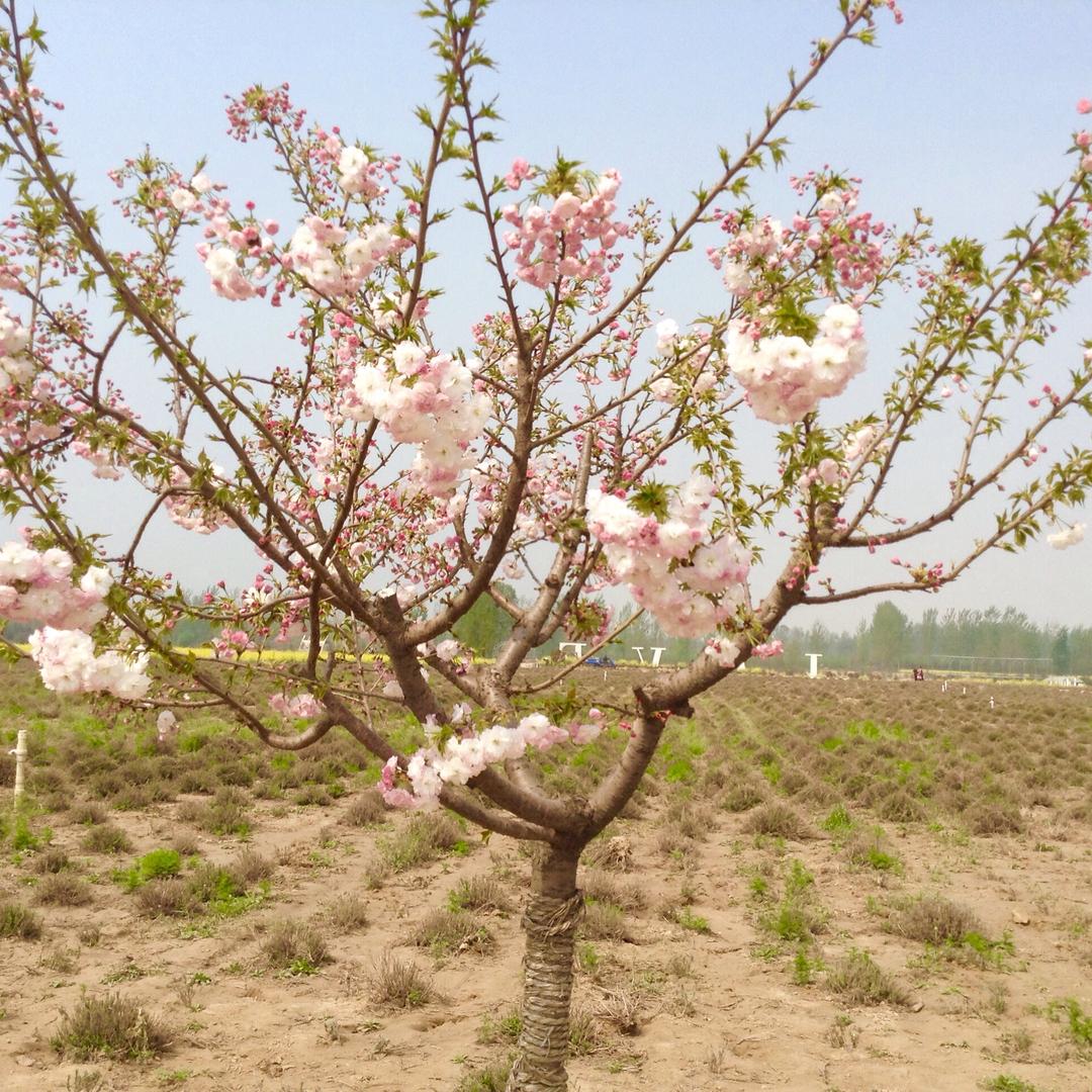 欧美家居生活馆