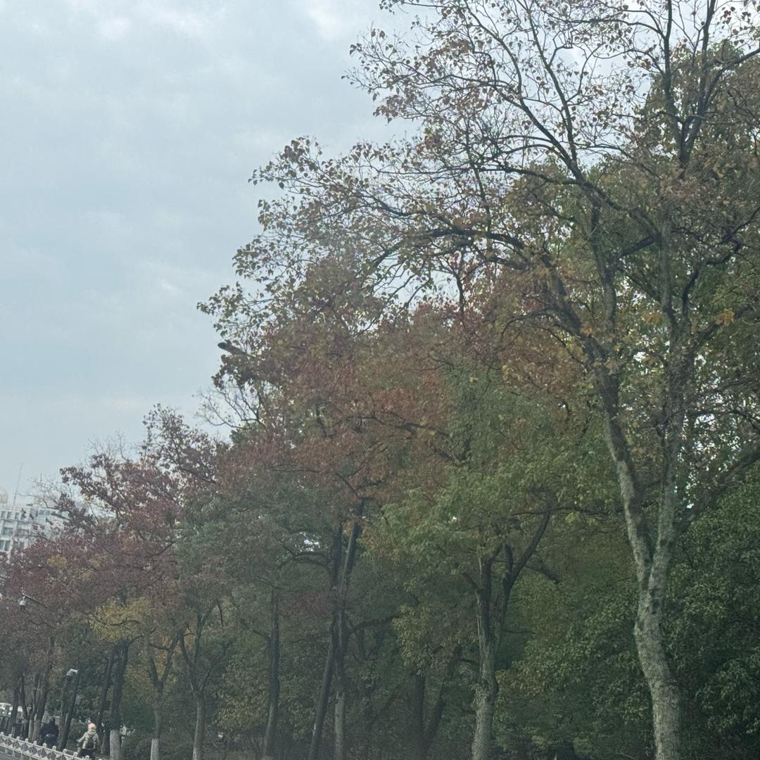 小邵同学