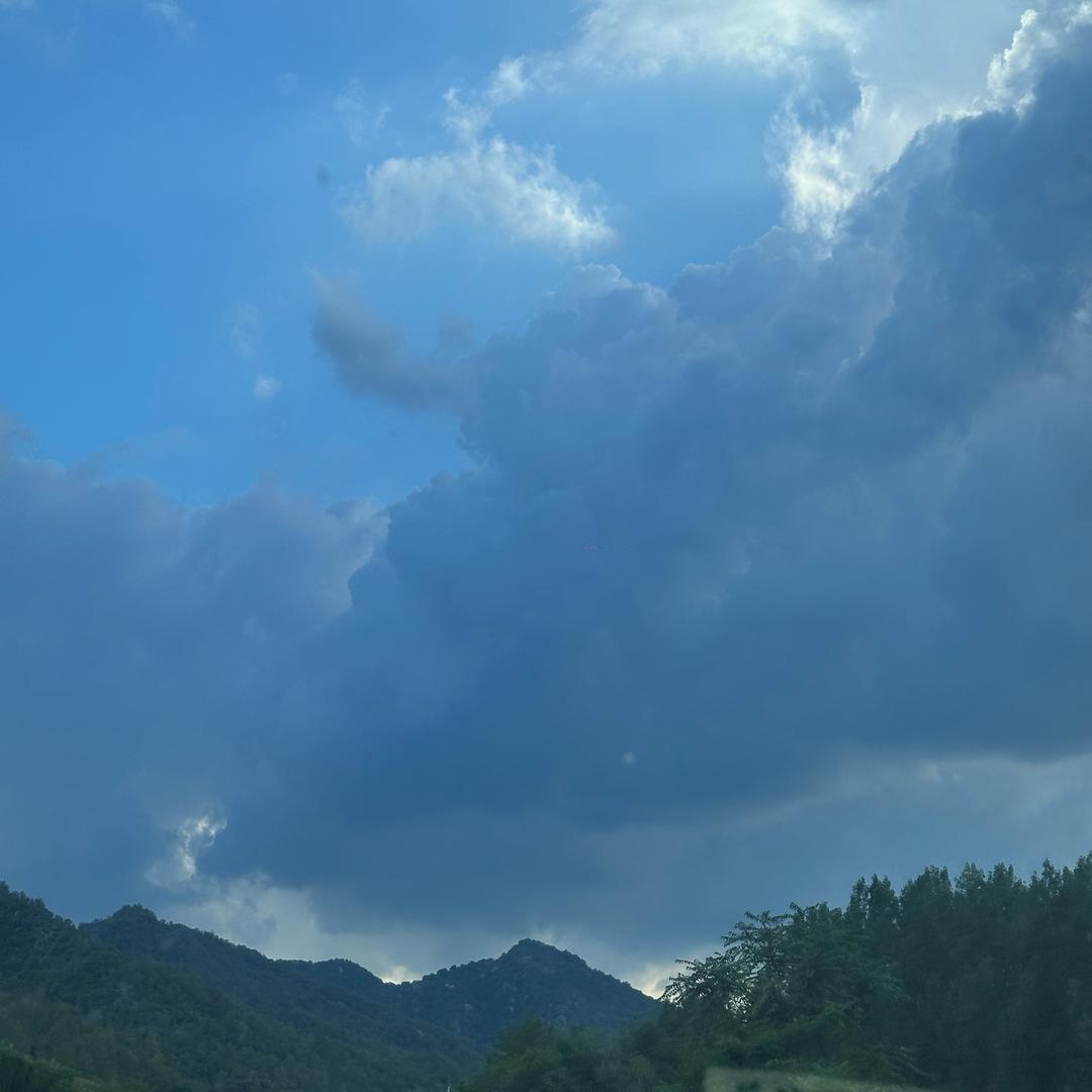 花开富贵开心每一天