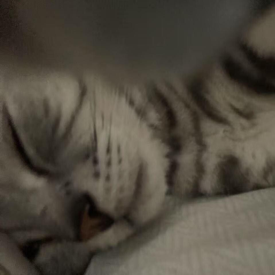 怎么办