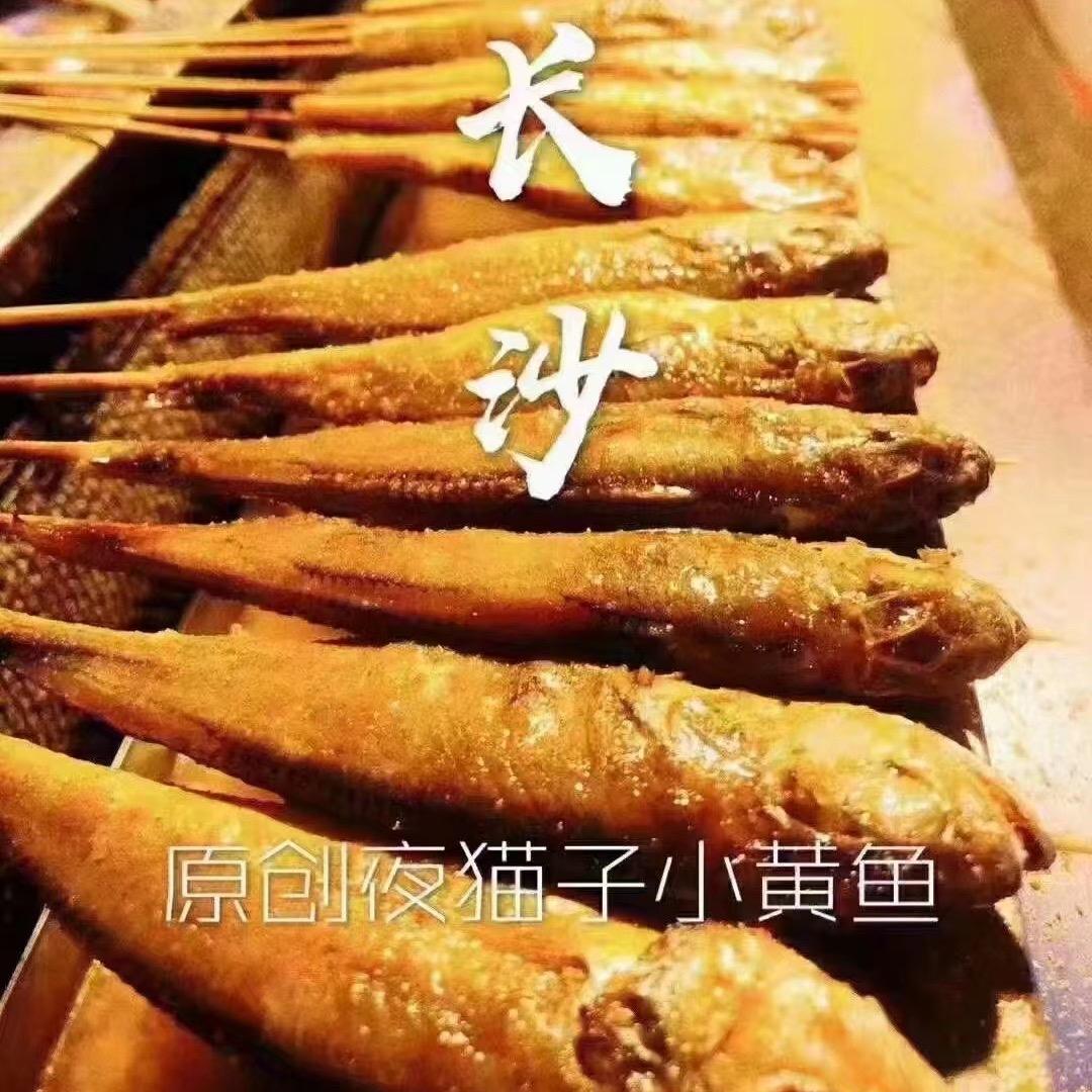 鲁桢