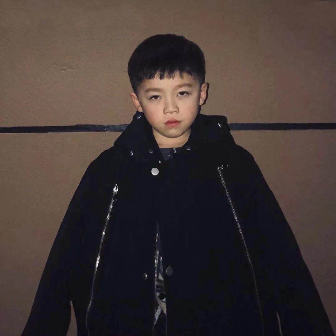 一只洋