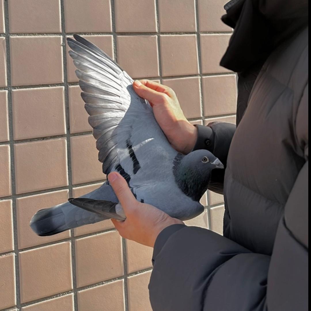 梁平阳光🕊️