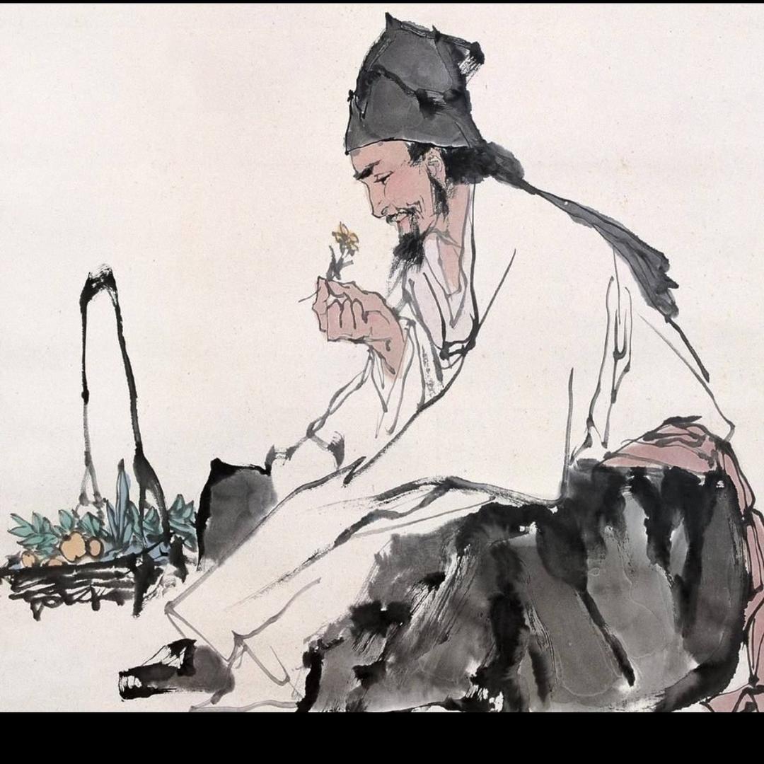 亳州中药材白芍芽，牡丹苗，赤芍苗