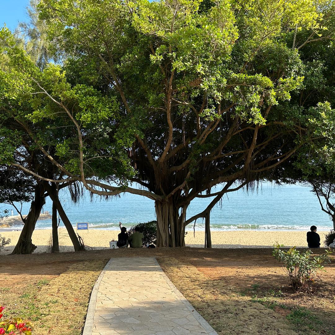 Leo（见过李荣浩版）