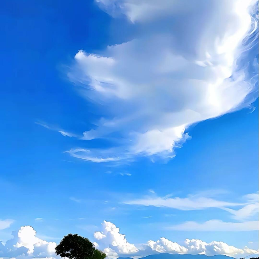 开发老炮