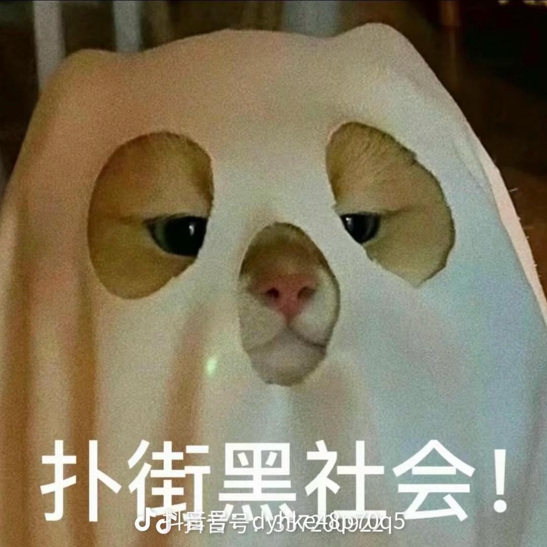 宣宣姐