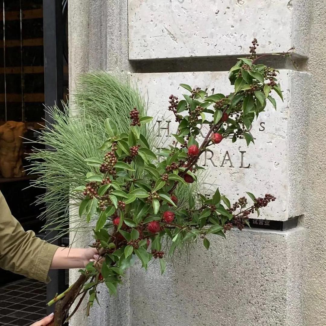 福Ti(出捏捏版）