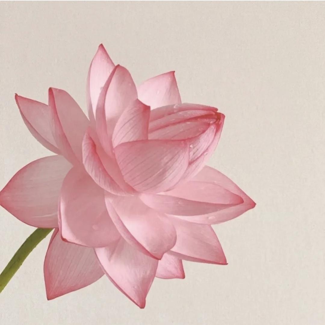 花开富贵幸福一生