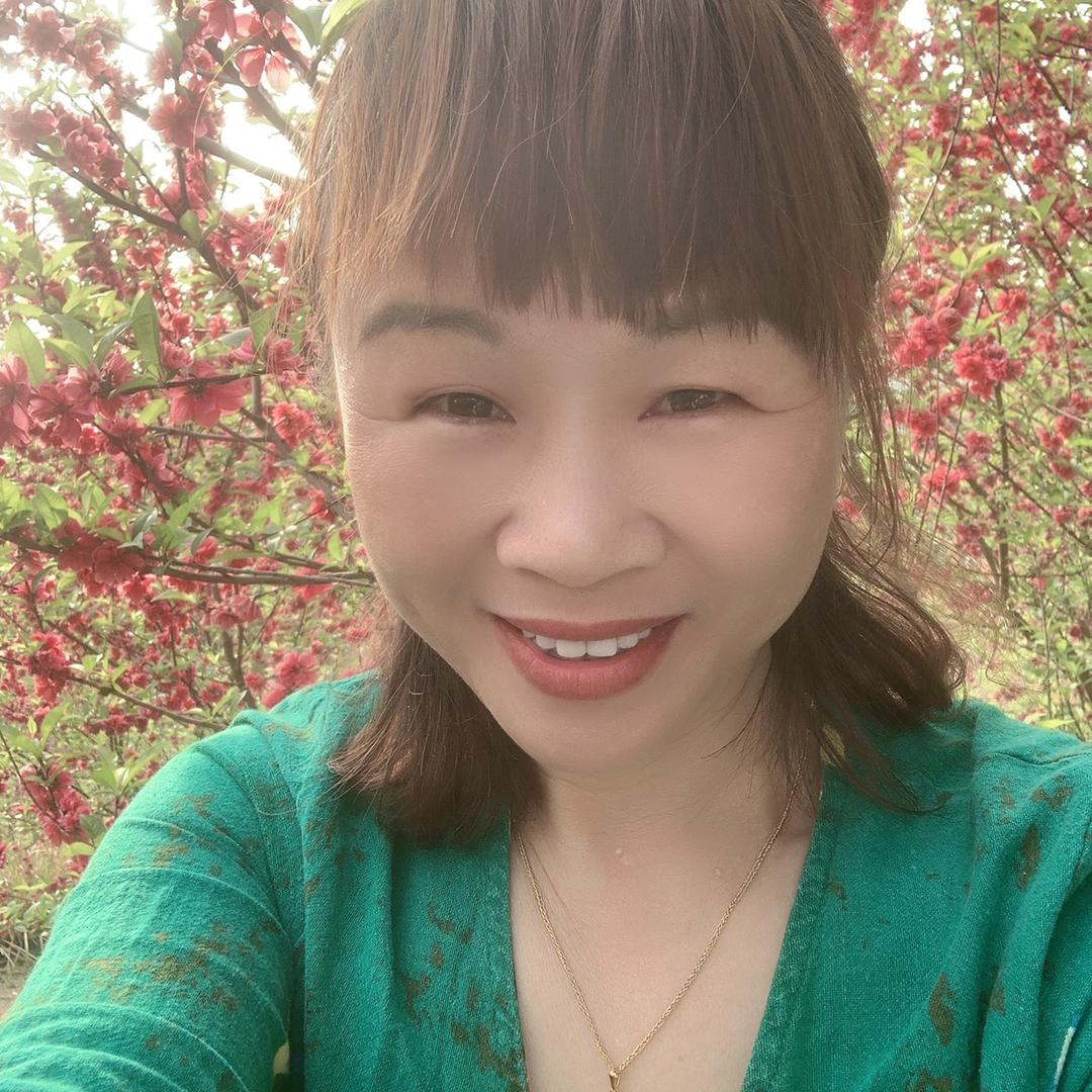 灿烂的阳光