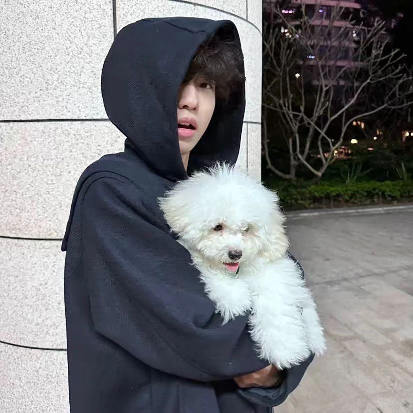 爱我直至生命尽头