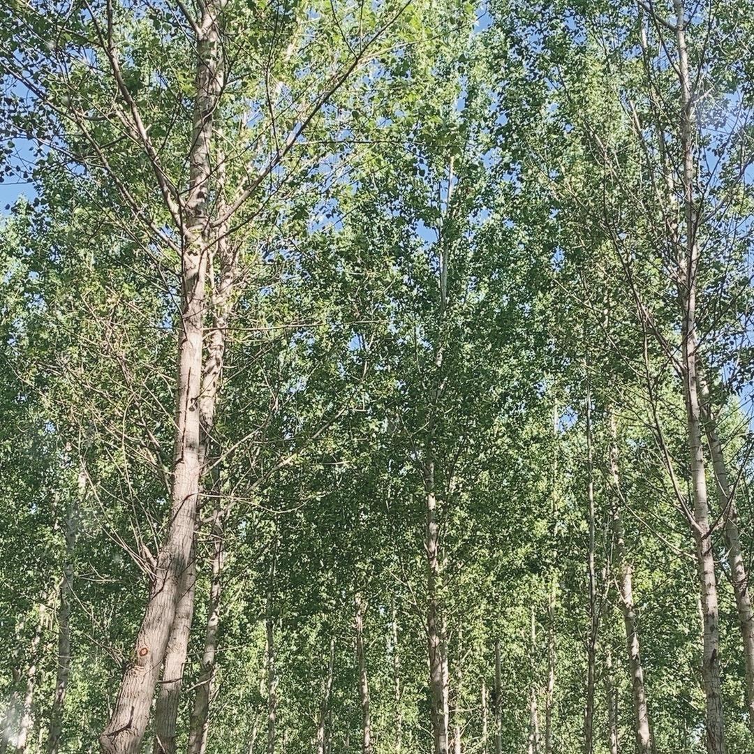 回关助理对接主播