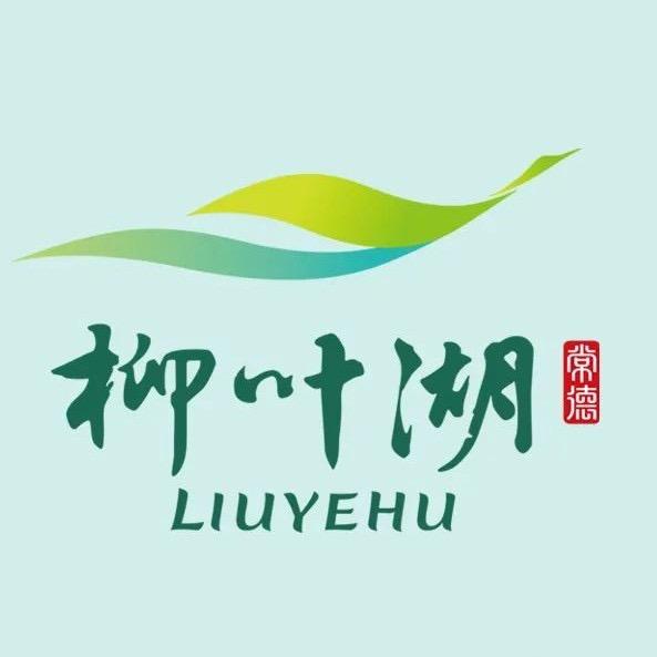 我在常德柳叶湖