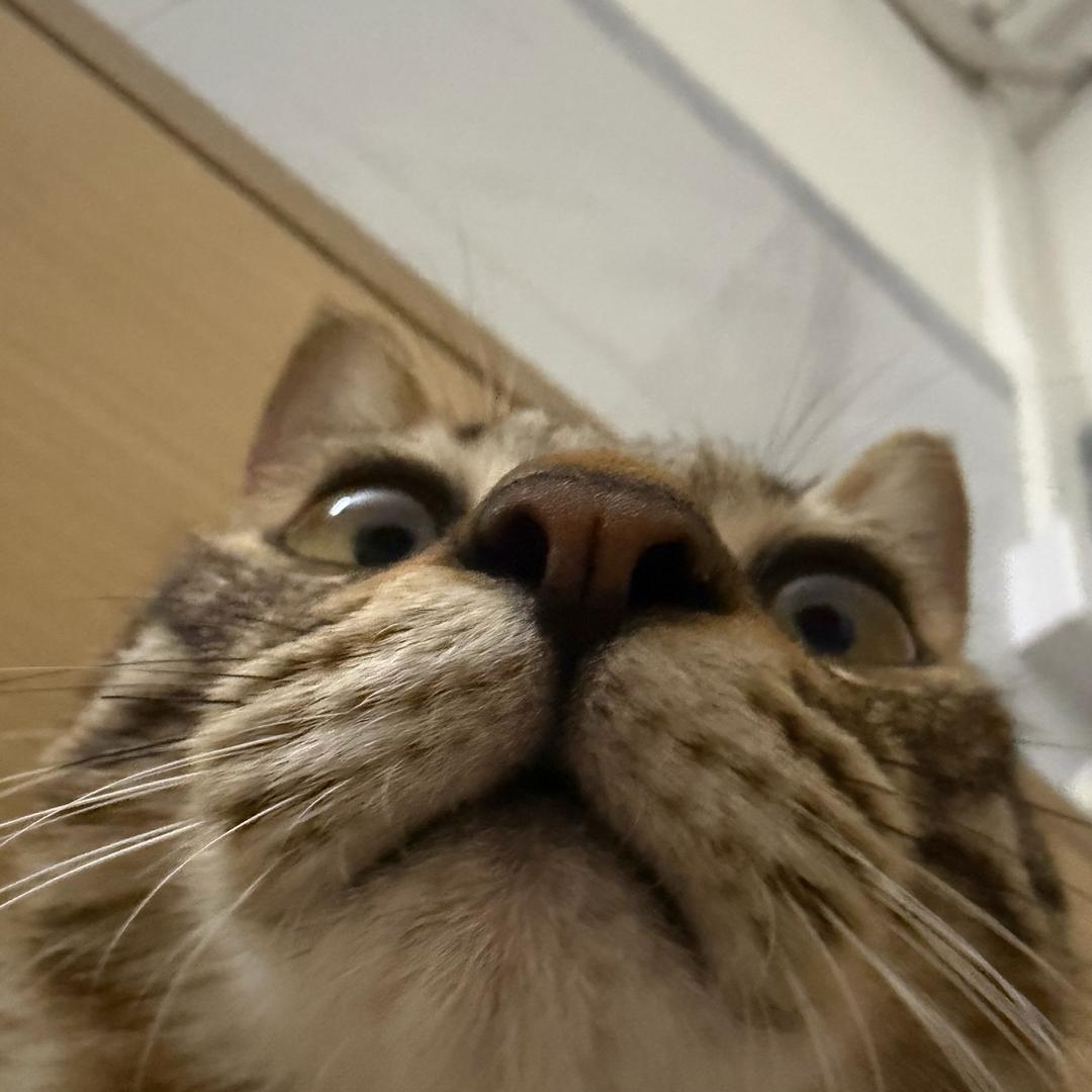 幺幺爱吃麻辣烫