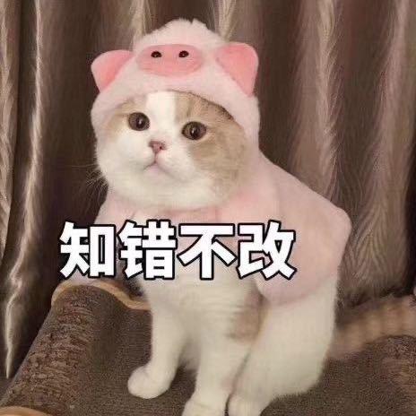 🌈不煽情
