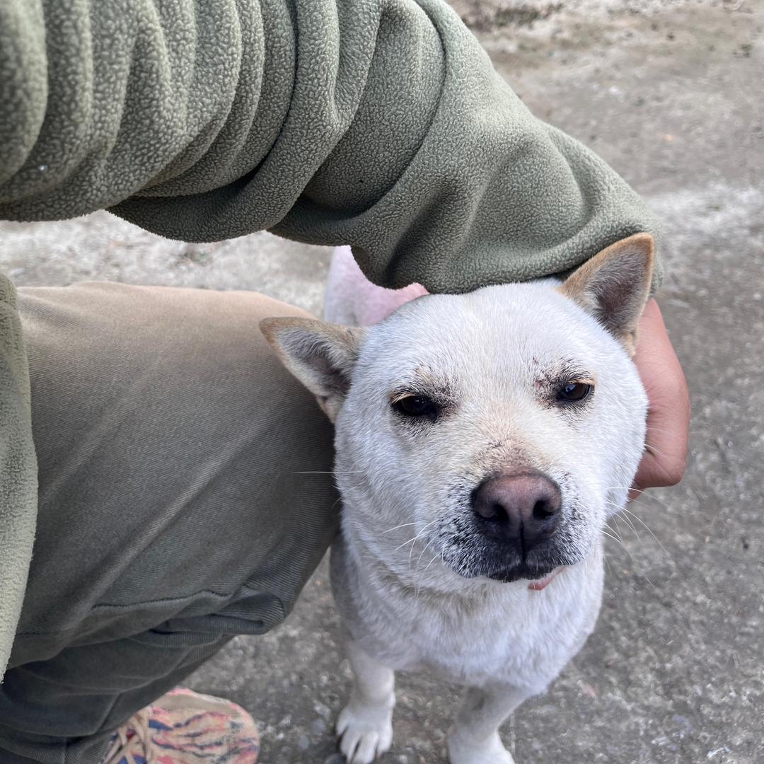 从榕乡韵农品小铺