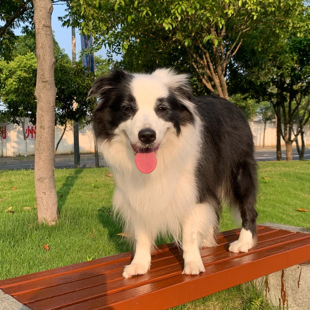 独爱～叮铛🔔