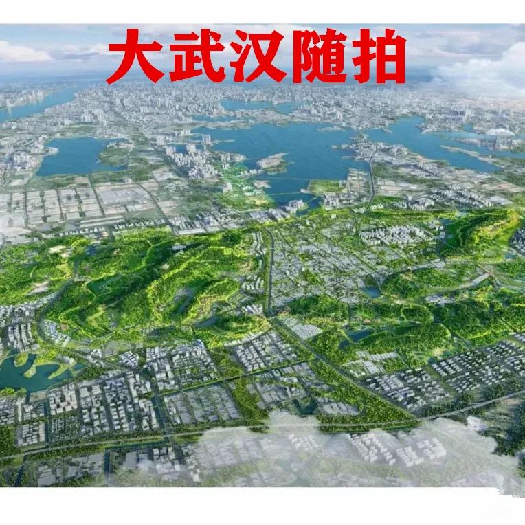 大武汉随拍
