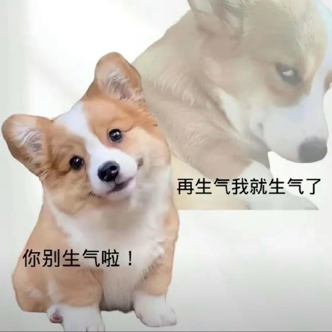 可乐🥤