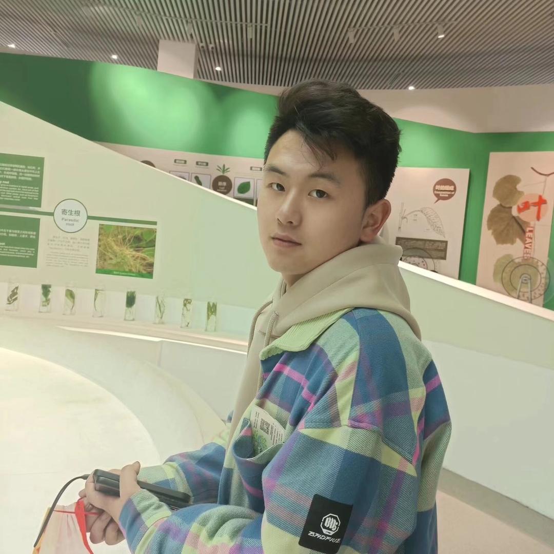 嘉嘉千元车批发