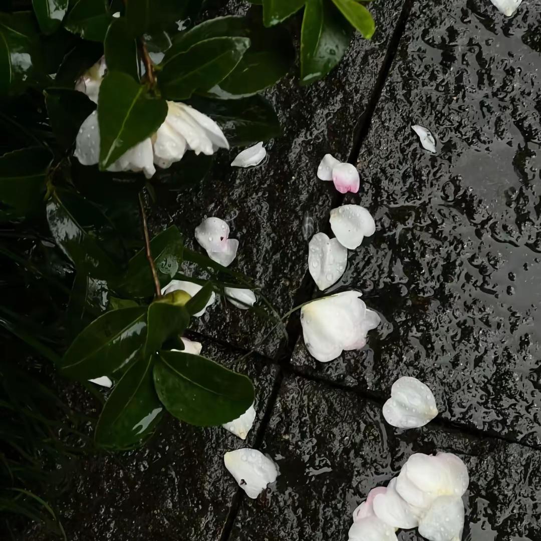 摘下晚霞
