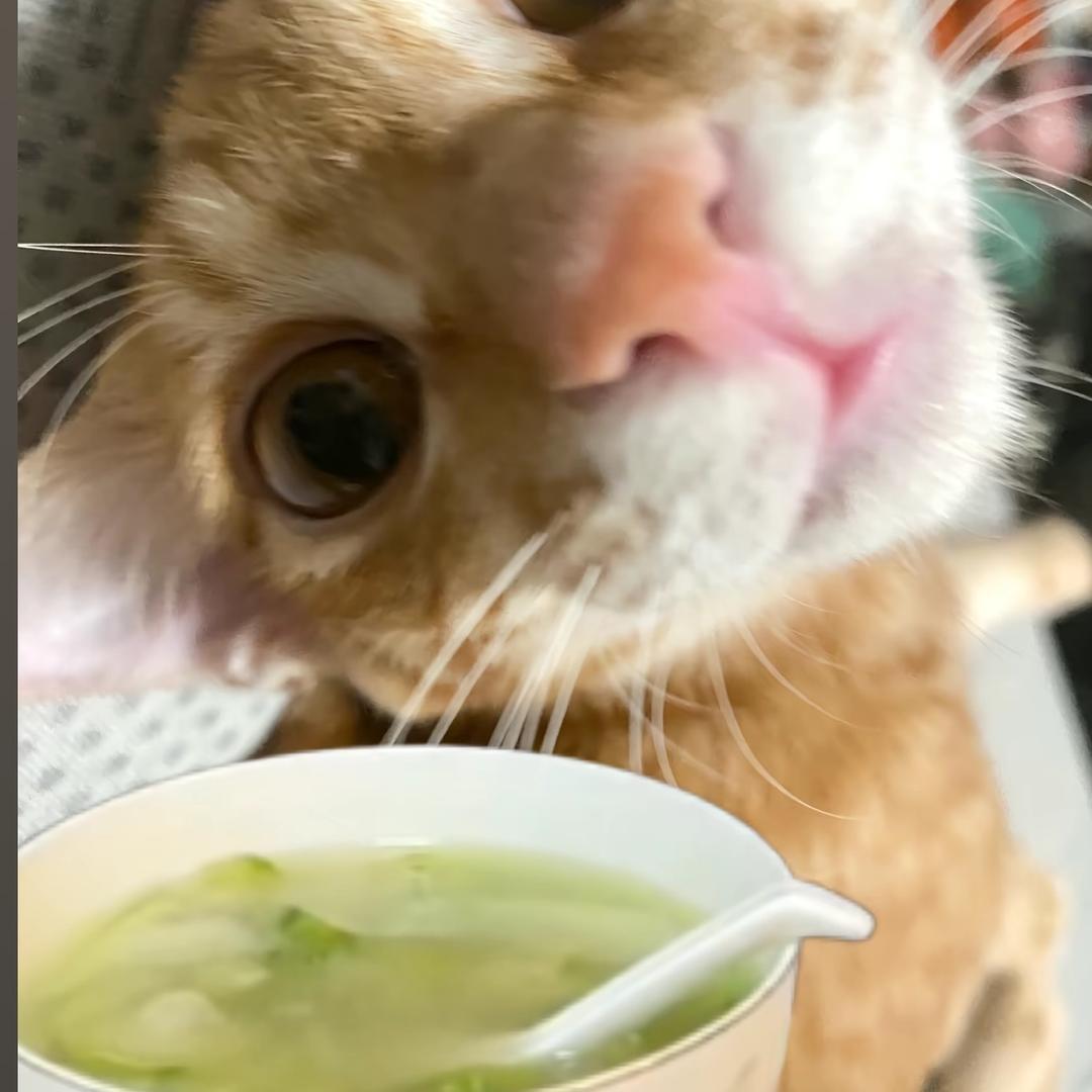 （夏末珍重纪念全勤版