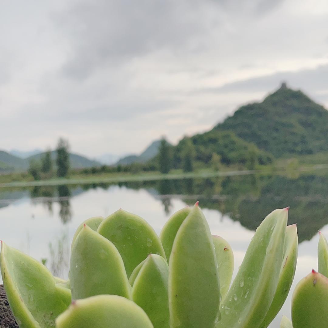 丁丁唐