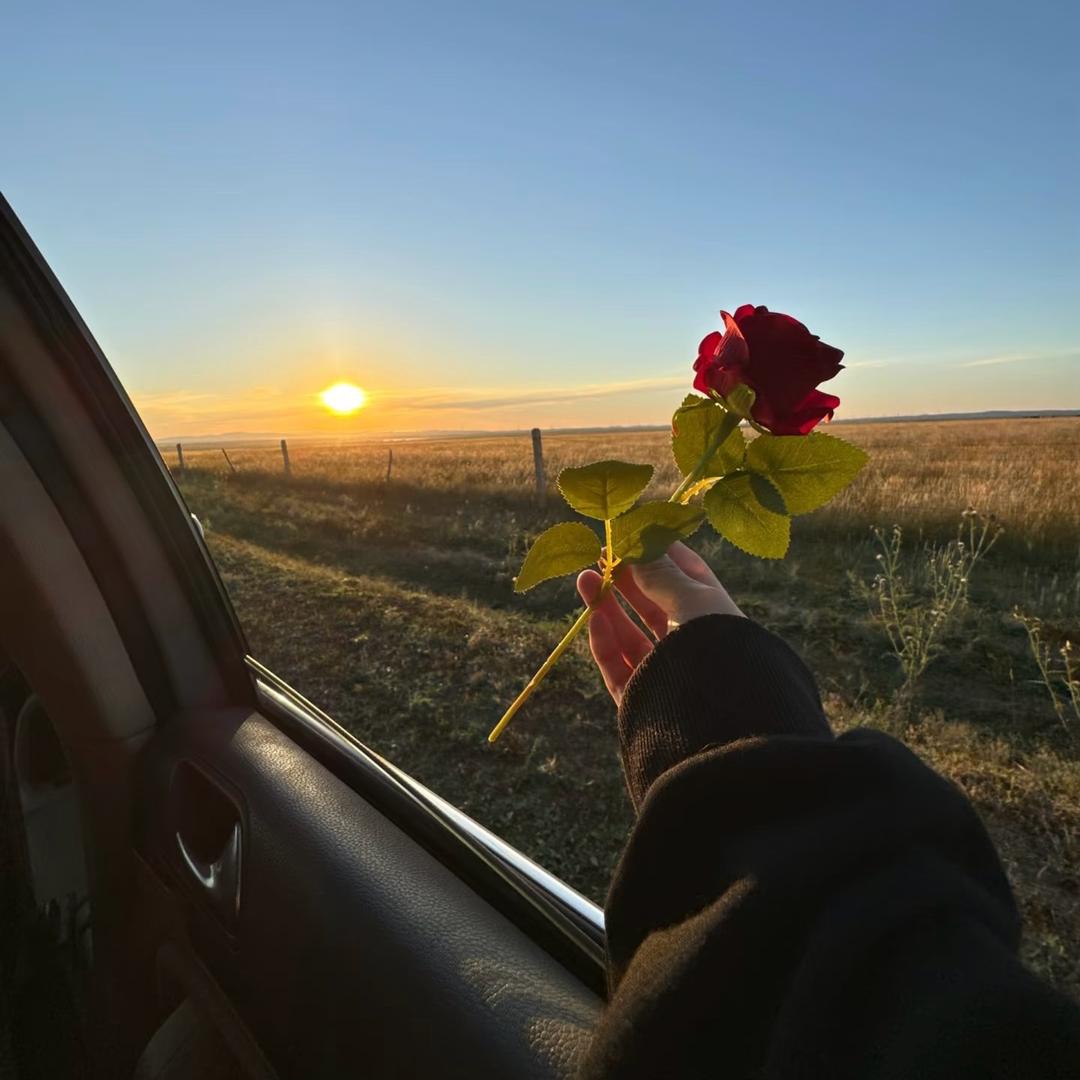 ㅤㅤㅤ         .