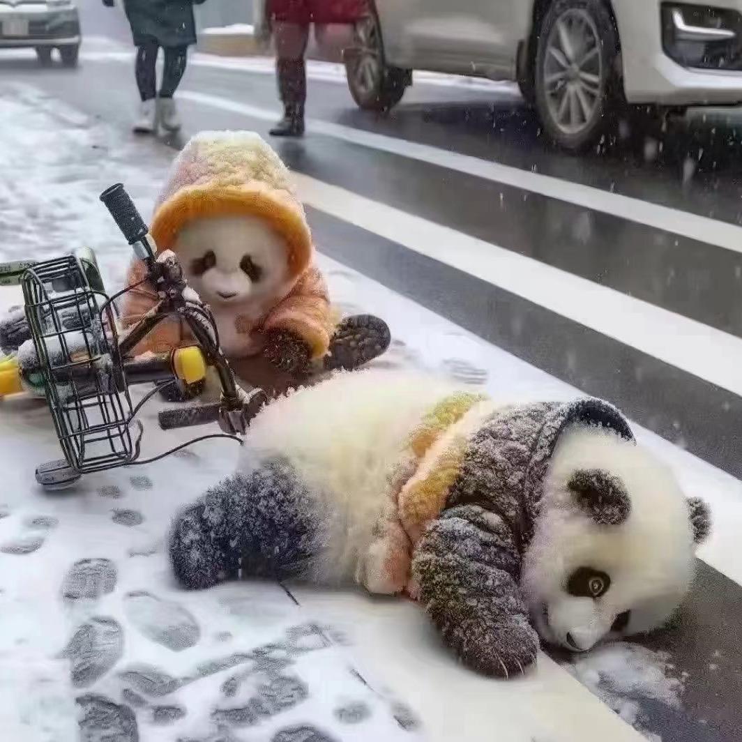 Mr   &   徐 嘵  柒  🎱