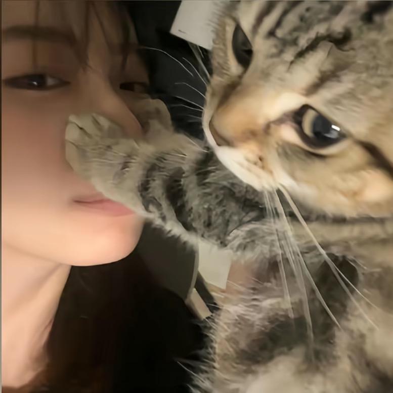 胖头鱼🐟