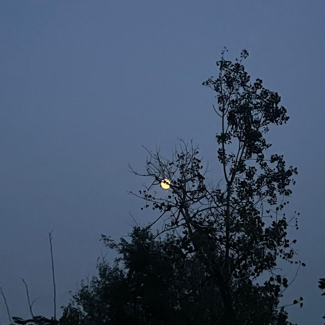 升学规划—于老师