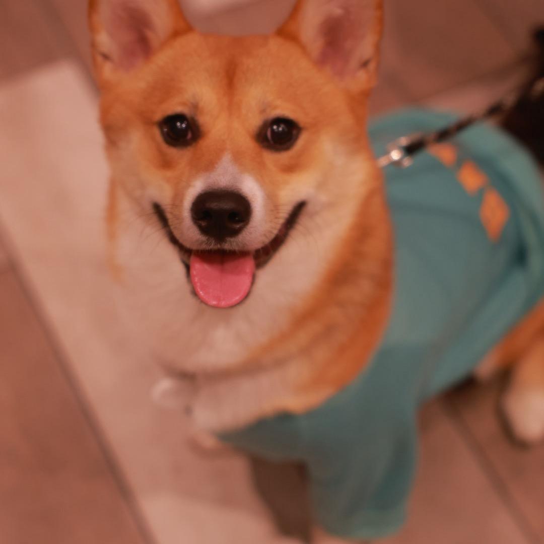 🌈王